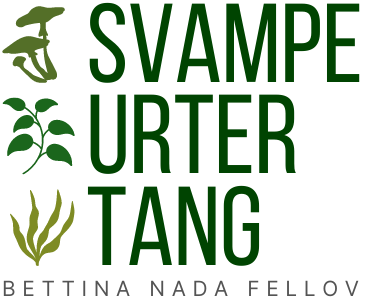 Svampe Urter Tang